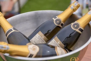 20231115_020505_0000